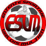 Logo%20esvm