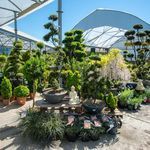 Jardinerie