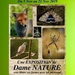 Affiche_mjc_social_expo_nature_2019_7282