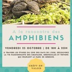 Affiche_cpie_amphibiens_crepy_231020_7879