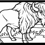 Coloriage-bison-3