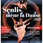 Affiche-senlis-mene-la-danse-2021_image_rte_3