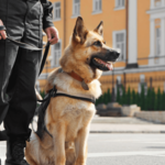 Service-agent-de-securite-cynophile-770x493
