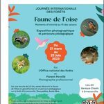 Expo-faune-de-l-oise-472x600