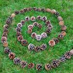 Landart_pomme_de_pin-300x300