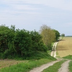 Site-le-plus-vieux-monument-du-valois