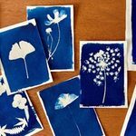 Atelier-cyanotype