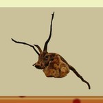 Zrdyo8t7pim68cuidhady1h5p-k