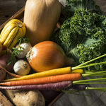 Legumes-recolte-hiver-1-720x340