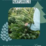 599949586_1300190885469983_3892916534050684316_n