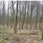 26e1fec16512d3a68bfe27b71b366232%5b240%2c240%2c1%2c0%2c0%2c0%2c0%2c0%5d