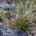 T%c3%a9l%c3%a9chargement%20%281%29