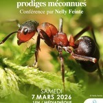 637708669_1356082039886451_9199550249661289478_n