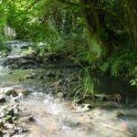 T%c3%a9l%c3%a9chargement%20%281%29