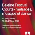 625311296_18170651692383092_8416699372666191916_n