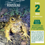 Sortie-nature-jjr---2-mai
