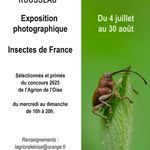 Image_0812944_20260610_ob_0789e4_prpp-affiche-exposition-agrion-2026-br