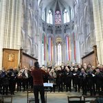 Ensemble-vocal-m%c3%a9lisande-cath%c3%a9drale-de-meaux-1140x876